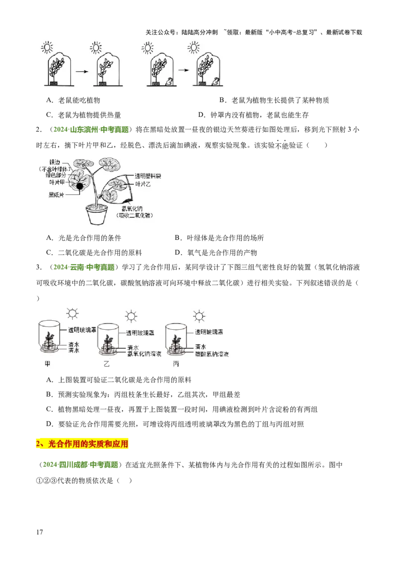 专题03植物的生活（3大模板）（原卷版）_02中考总复习（2026版更新中）_08-生物-中考总复习_2025中考复习资料_2025年中考生物答题方法模板