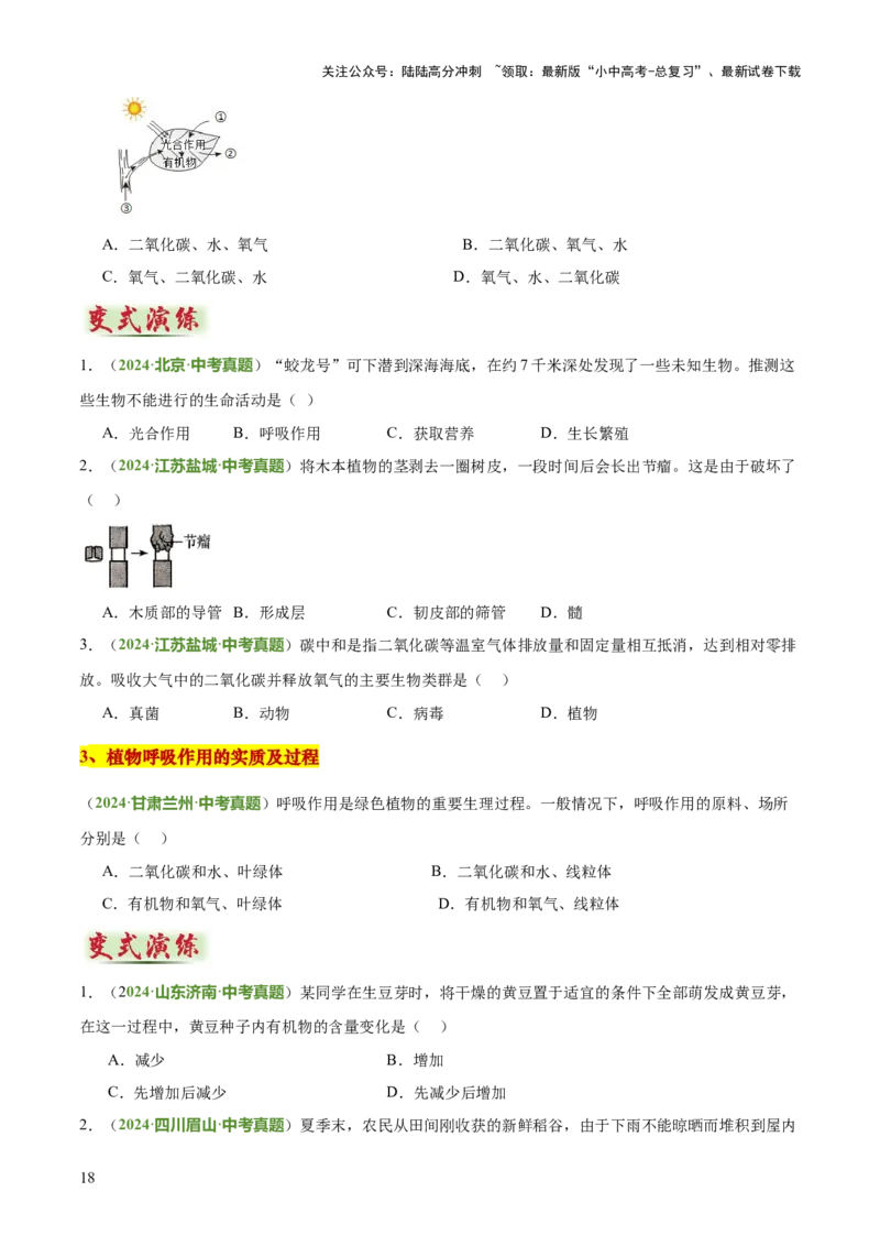 专题03植物的生活（3大模板）（原卷版）_02中考总复习（2026版更新中）_08-生物-中考总复习_2025中考复习资料_2025年中考生物答题方法模板
