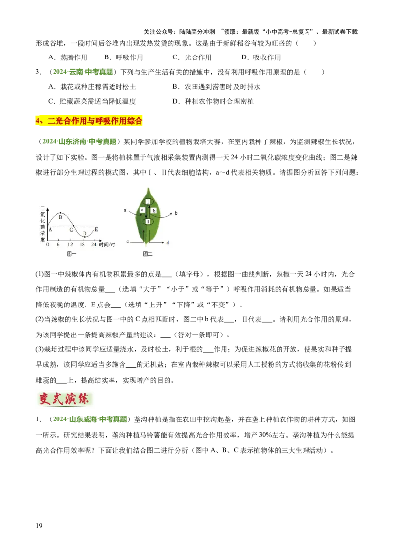 专题03植物的生活（3大模板）（原卷版）_02中考总复习（2026版更新中）_08-生物-中考总复习_2025中考复习资料_2025年中考生物答题方法模板