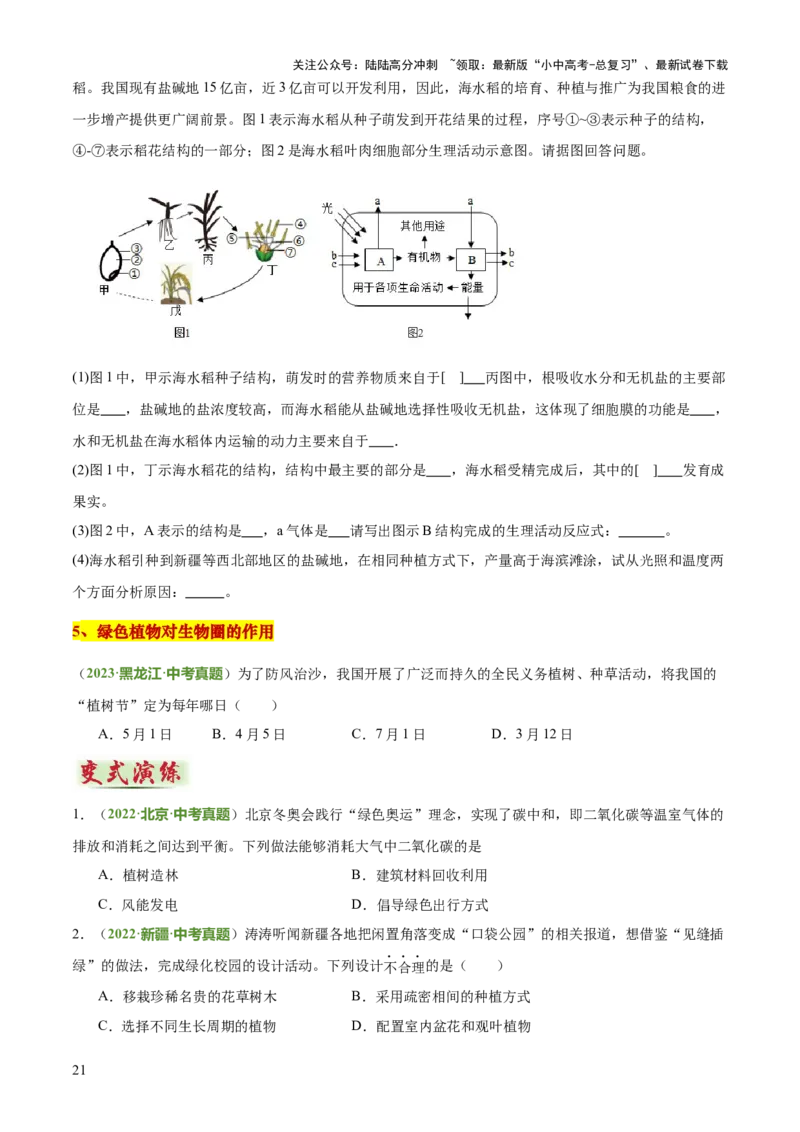 专题03植物的生活（3大模板）（原卷版）_02中考总复习（2026版更新中）_08-生物-中考总复习_2025中考复习资料_2025年中考生物答题方法模板