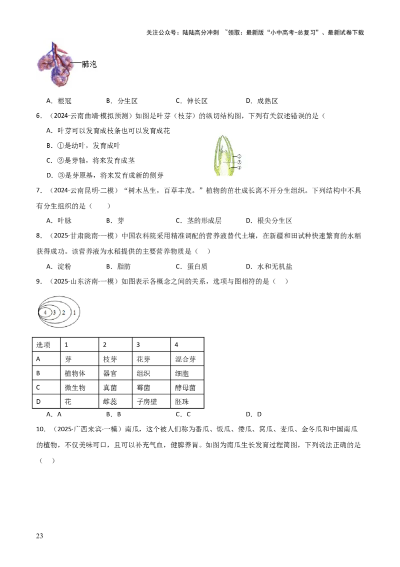 专题03植物的生活（3大模板）（原卷版）_02中考总复习（2026版更新中）_08-生物-中考总复习_2025中考复习资料_2025年中考生物答题方法模板