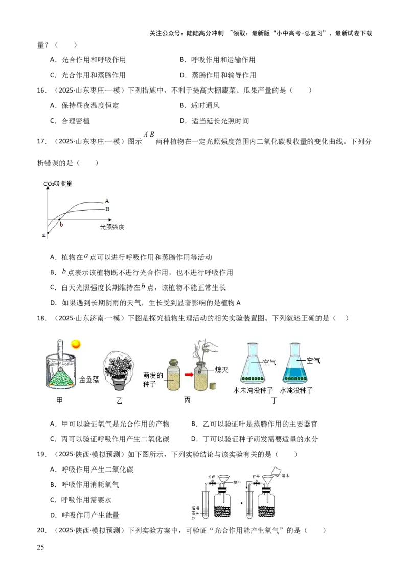 专题03植物的生活（3大模板）（原卷版）_02中考总复习（2026版更新中）_08-生物-中考总复习_2025中考复习资料_2025年中考生物答题方法模板