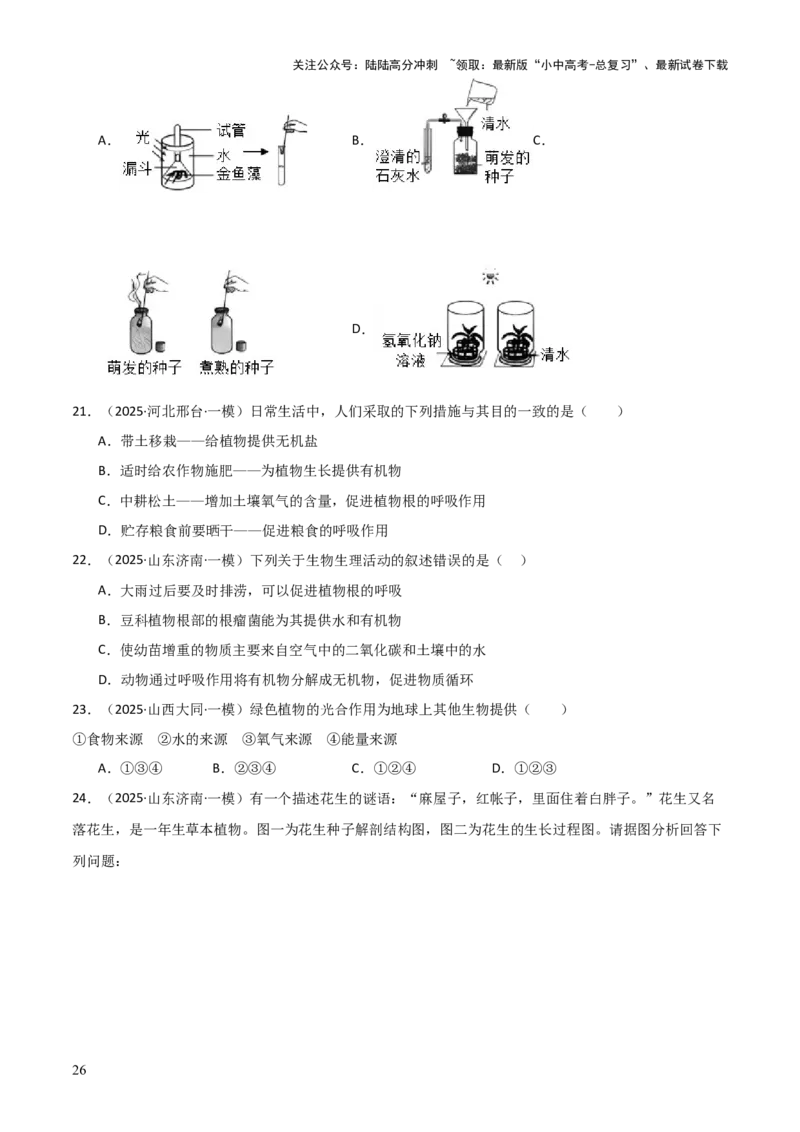 专题03植物的生活（3大模板）（原卷版）_02中考总复习（2026版更新中）_08-生物-中考总复习_2025中考复习资料_2025年中考生物答题方法模板