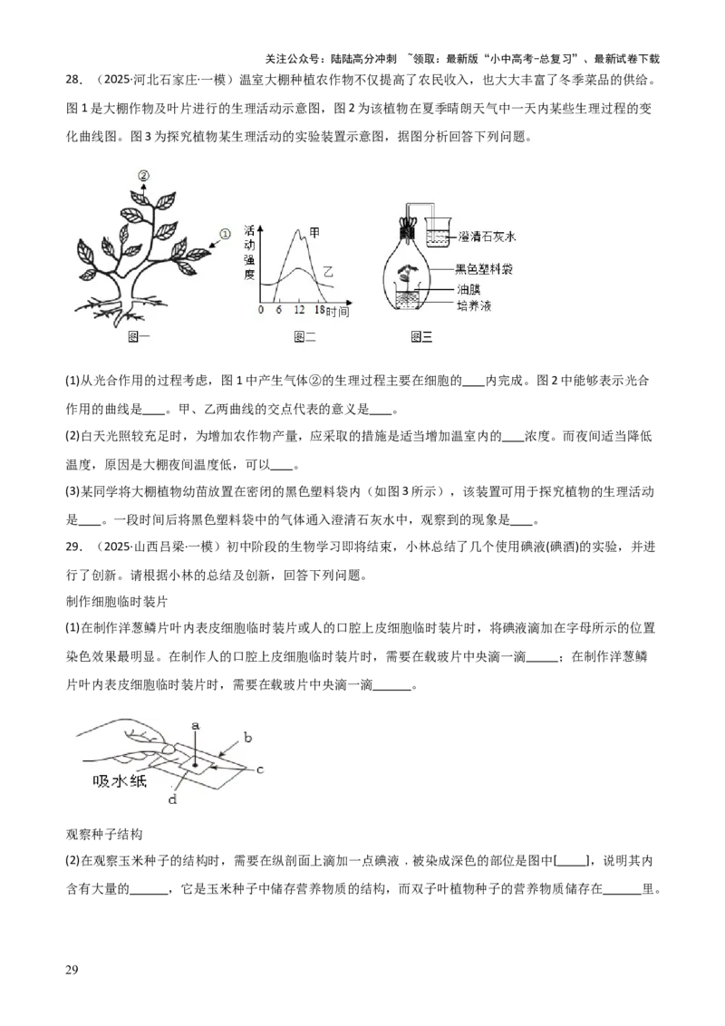 专题03植物的生活（3大模板）（原卷版）_02中考总复习（2026版更新中）_08-生物-中考总复习_2025中考复习资料_2025年中考生物答题方法模板