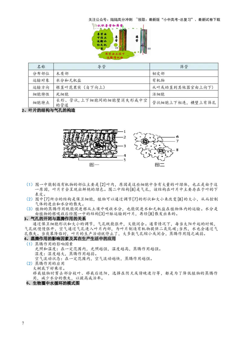 专题03植物的生活（3大模板）（原卷版）_02中考总复习（2026版更新中）_08-生物-中考总复习_2025中考复习资料_2025年中考生物答题方法模板