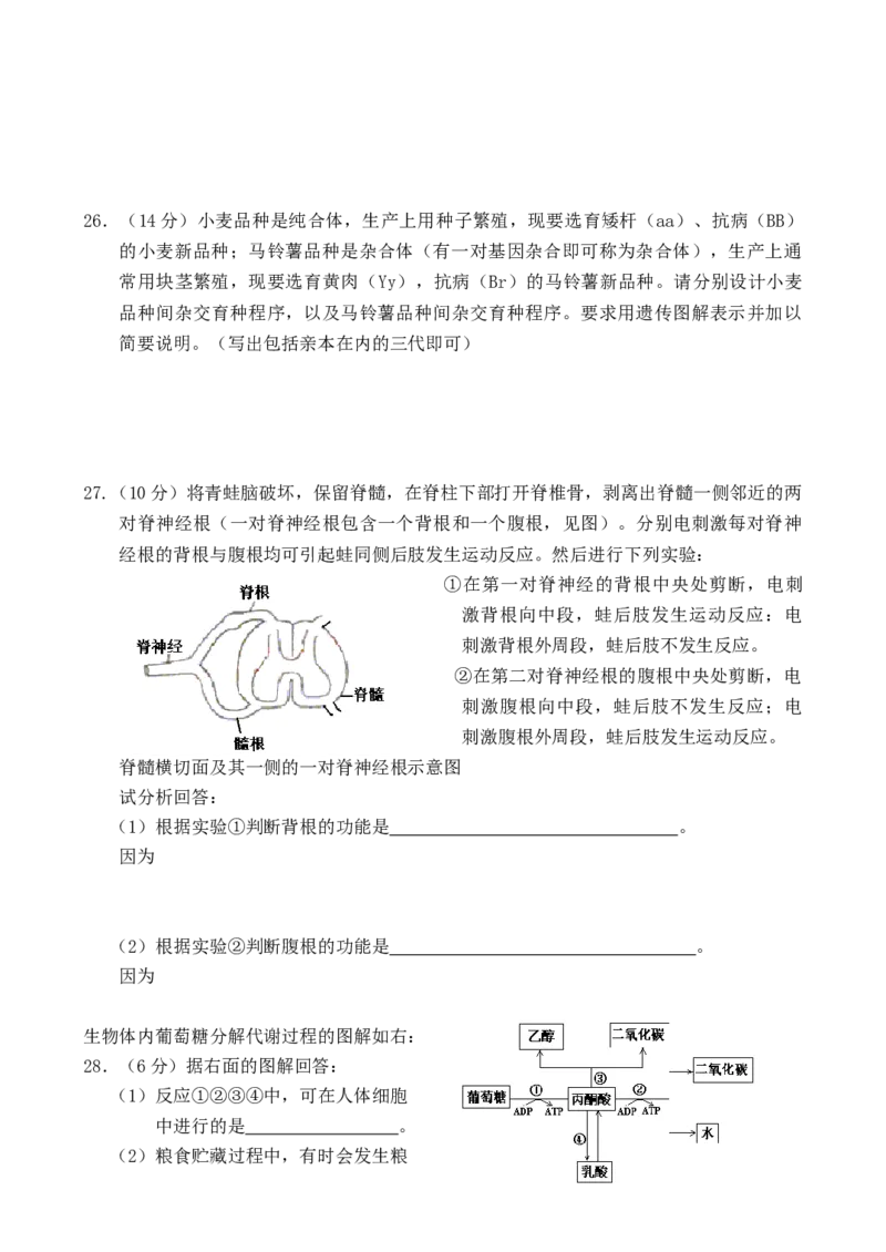 2003年浙江高考理综真题及答案_全国卷+地方卷_4.物理_1.物理高考真题试卷_1990-2007年各地高考历年真题_2001-2007年各地理综历年真题_浙江