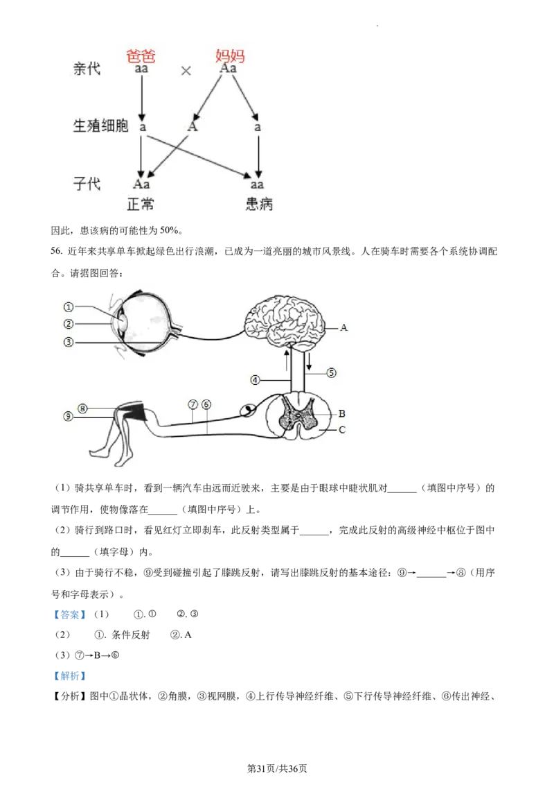 精品解析：2023年江苏省无锡市学考生物真题（解析版）_江苏省中考_01江苏省13市中考历年真题2008-2025新_、中考全套_江苏省中考历年真题_江苏中考生物(2010年-2024年）