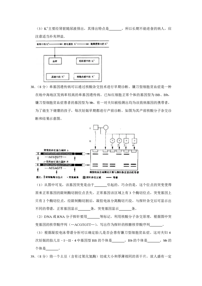 2007年江苏省高考生物试卷_全国卷+地方卷_6.生物_1.生物高考真题试卷_2008-2020年_地方卷_江苏高考生物07-20_A4word版_PDF版（赠送）
