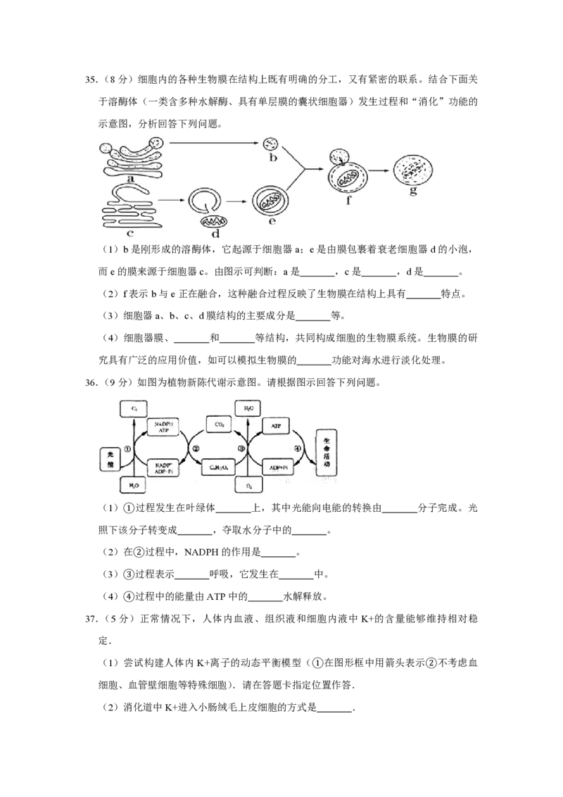2007年江苏省高考生物试卷_全国卷+地方卷_6.生物_1.生物高考真题试卷_2008-2020年_地方卷_江苏高考生物07-20_A4word版_PDF版（赠送）