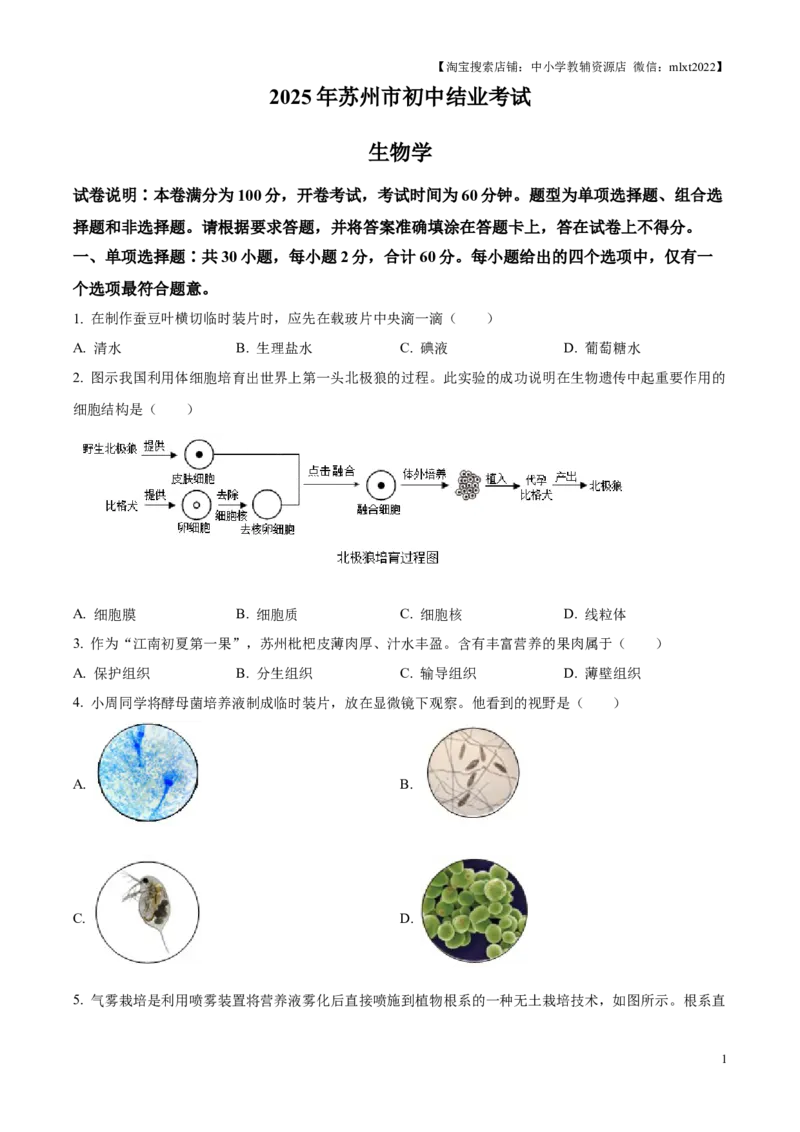 精品解析：2025年江苏省苏州市中考生物真题（原卷版）_江苏省中考_01江苏省13市中考历年真题2008-2025新_、中考全套_江苏省中考历年真题_江苏省中考2025合集_江苏省生物2025