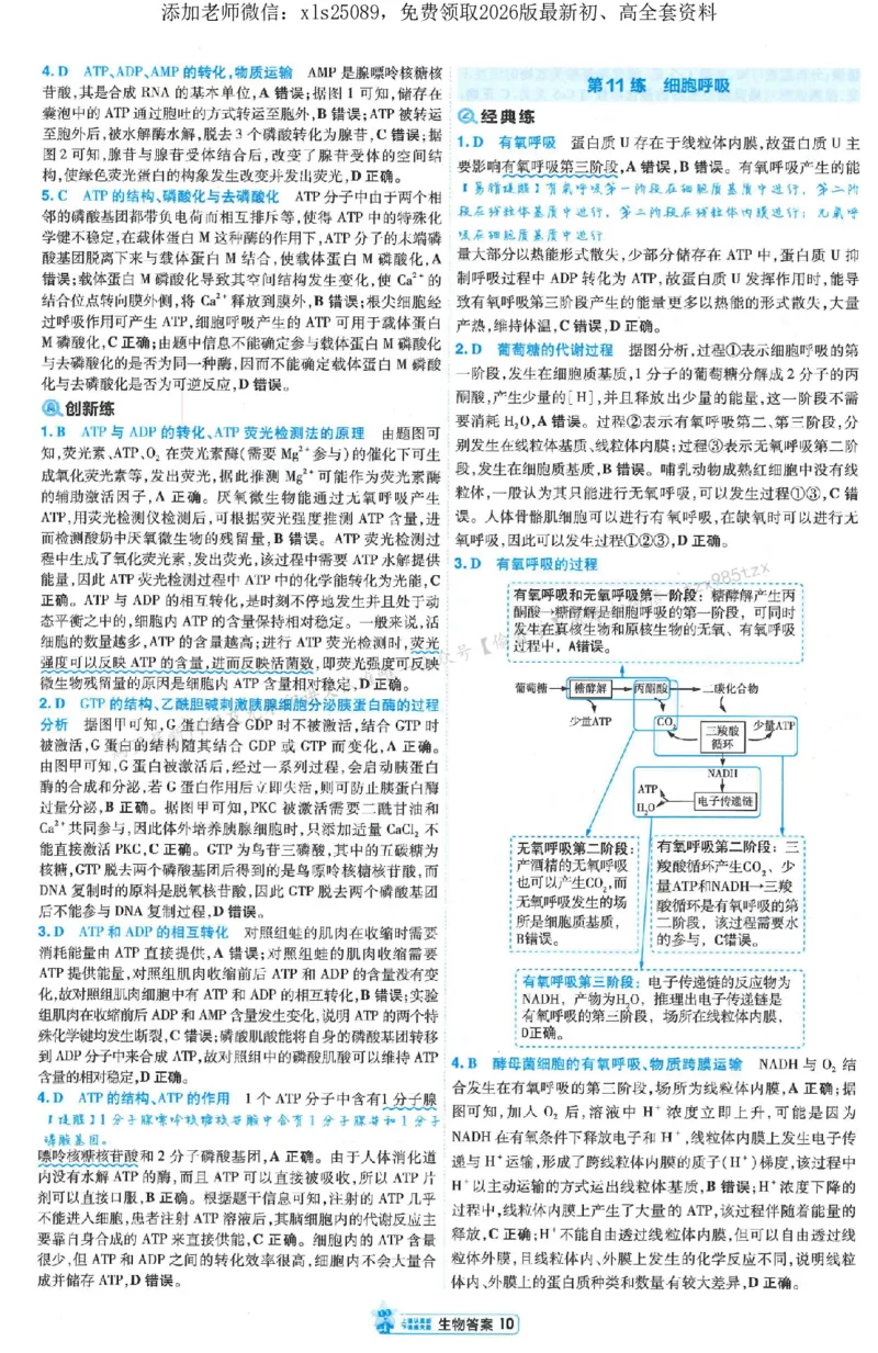 3答案解析册新高考&middot;生物_2026版天星教育《金考卷-小题狂练》新高考九科全套首发_2026版金考卷小题狂练生物（新高考单选）