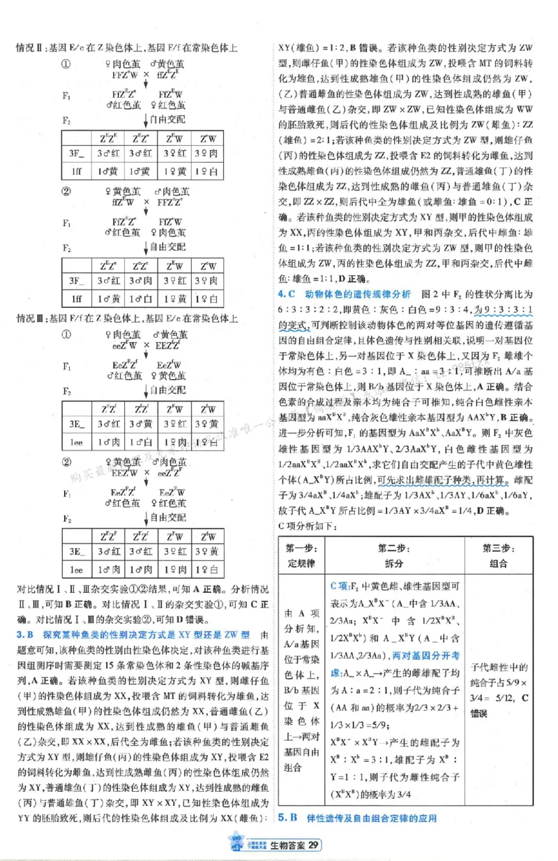 3答案解析册新高考&middot;生物_2026版天星教育《金考卷-小题狂练》新高考九科全套首发_2026版金考卷小题狂练生物（新高考单选）