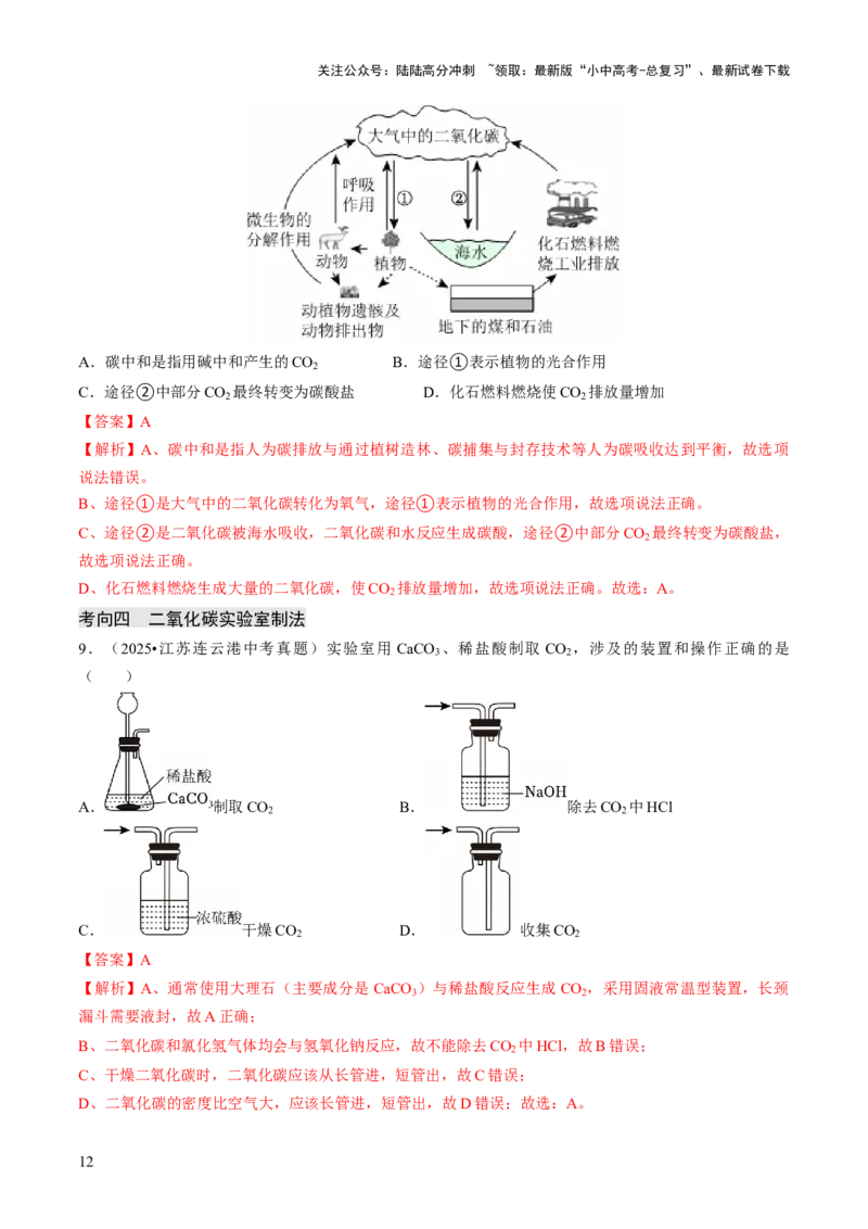 专题03碳和碳的氧化物（解析版）_02中考总复习（2026版更新中）_05-化学-中考总复习_2026年中考复习（更新中）_备战2026年中考化学真题题源解密