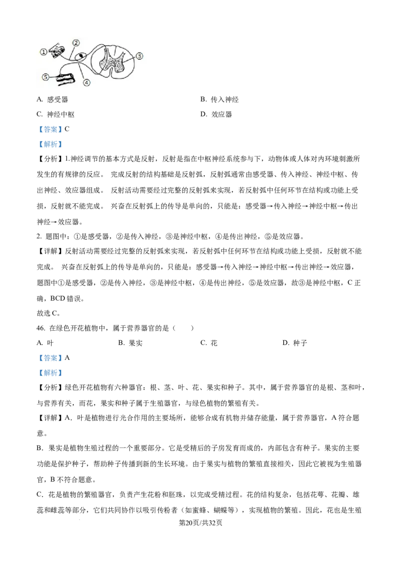 精品解析：2024年江苏省无锡市中考生物真题（解析版）_江苏省中考_江苏省中考历年真题_7.江苏中考生物(2010年-2024年）_无锡市中考生物真题{22＋24年}