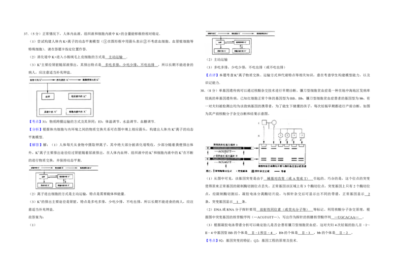 2007年江苏省高考生物试卷解析版_全国卷+地方卷_6.生物_1.生物高考真题试卷_2008-2020年_地方卷_江苏高考生物07-20_A3word版_PDF版（赠送）