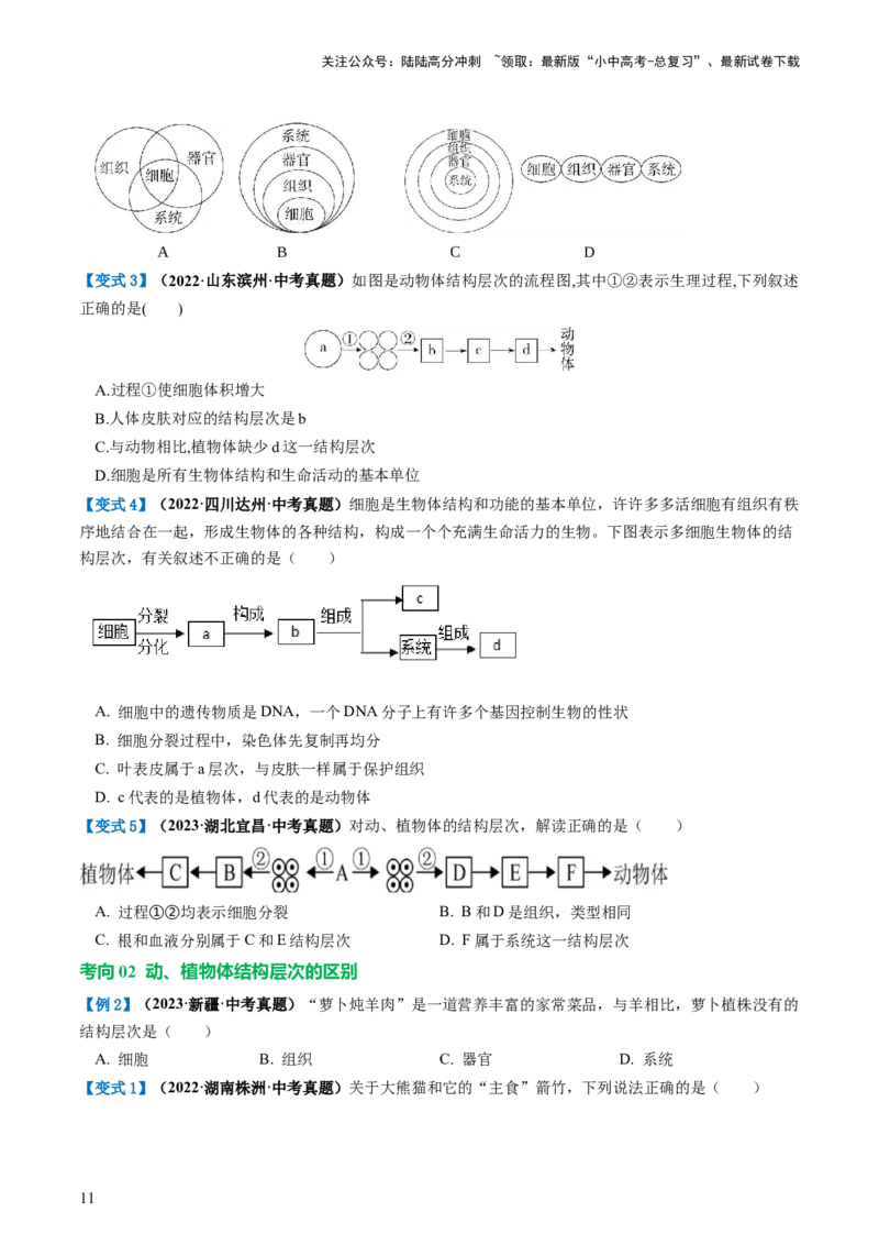 专题03细胞怎样构成生物体（讲义）（原卷版）_02中考总复习（2026版更新中）_08-生物-中考总复习_2024年中考复习资料_一轮复习_❤2024年中考生物一轮复习讲练测（全国通用）_讲义