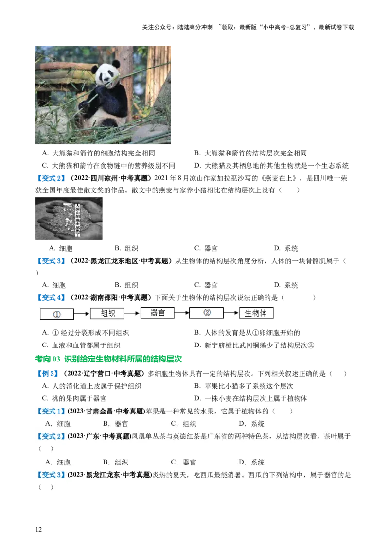 专题03细胞怎样构成生物体（讲义）（原卷版）_02中考总复习（2026版更新中）_08-生物-中考总复习_2024年中考复习资料_一轮复习_❤2024年中考生物一轮复习讲练测（全国通用）_讲义