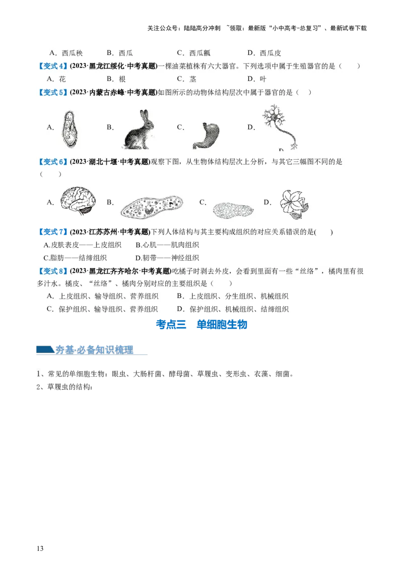专题03细胞怎样构成生物体（讲义）（原卷版）_02中考总复习（2026版更新中）_08-生物-中考总复习_2024年中考复习资料_一轮复习_❤2024年中考生物一轮复习讲练测（全国通用）_讲义