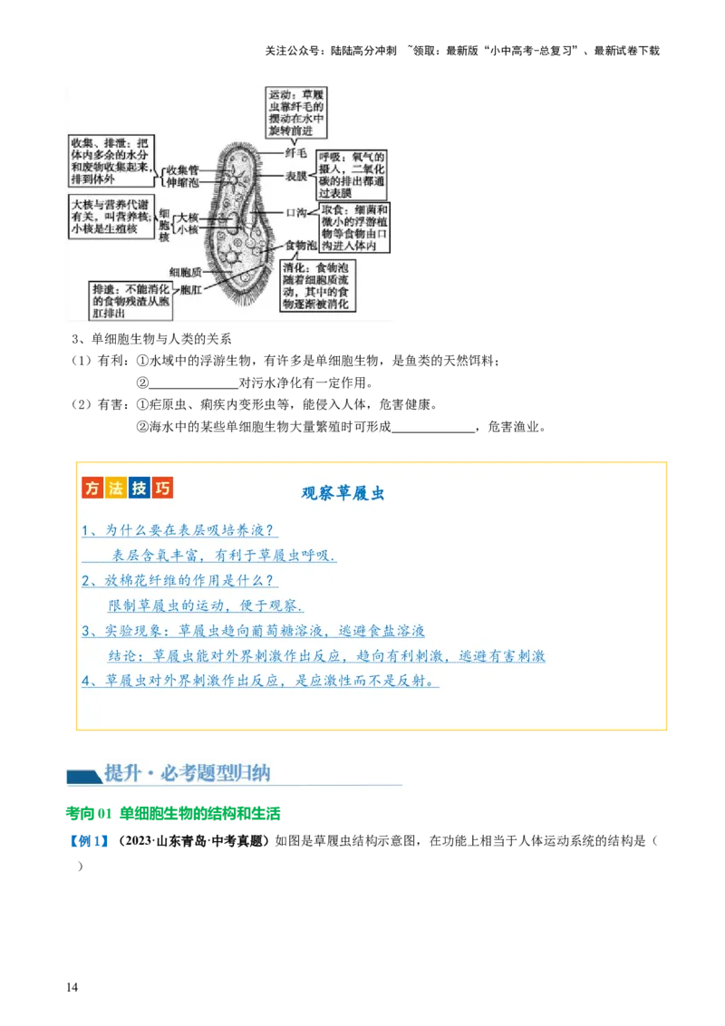 专题03细胞怎样构成生物体（讲义）（原卷版）_02中考总复习（2026版更新中）_08-生物-中考总复习_2024年中考复习资料_一轮复习_❤2024年中考生物一轮复习讲练测（全国通用）_讲义