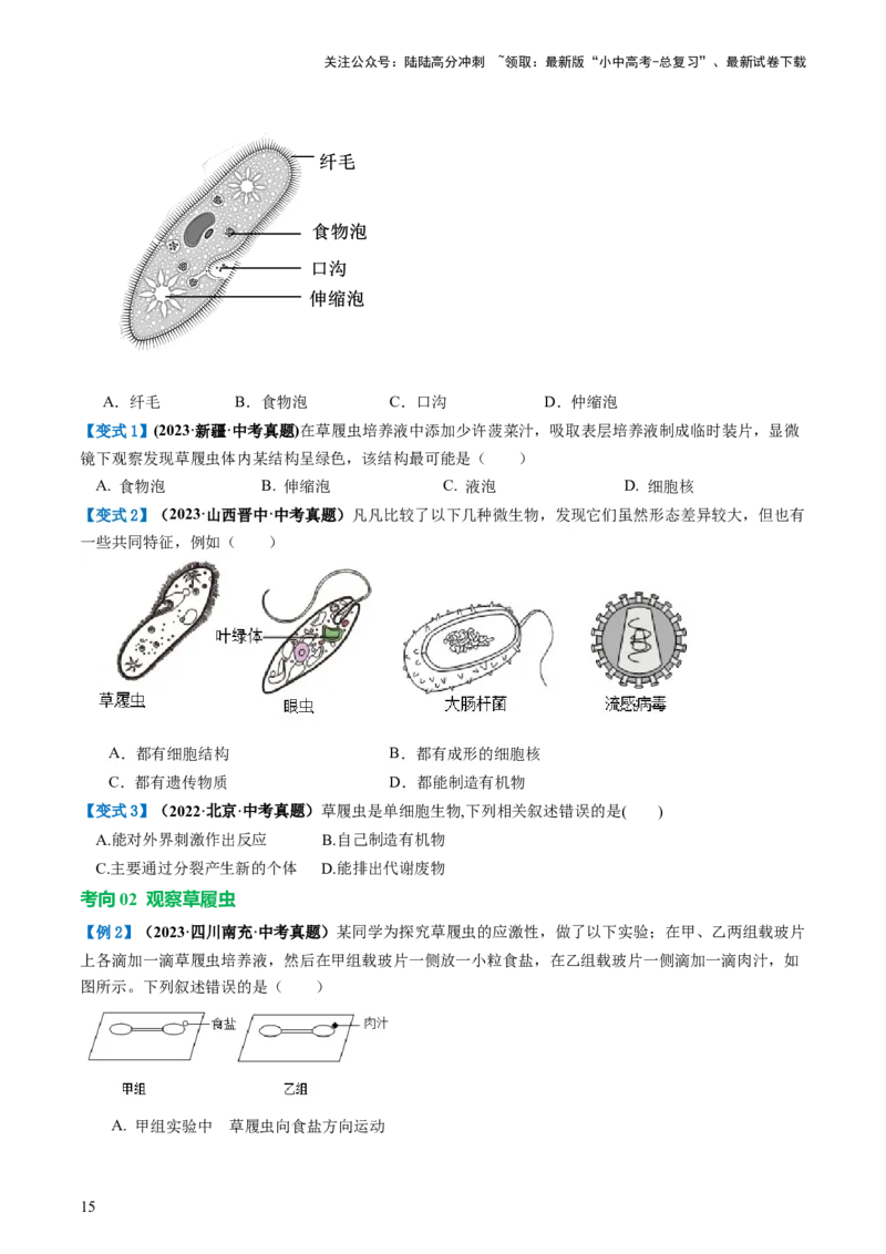 专题03细胞怎样构成生物体（讲义）（原卷版）_02中考总复习（2026版更新中）_08-生物-中考总复习_2024年中考复习资料_一轮复习_❤2024年中考生物一轮复习讲练测（全国通用）_讲义
