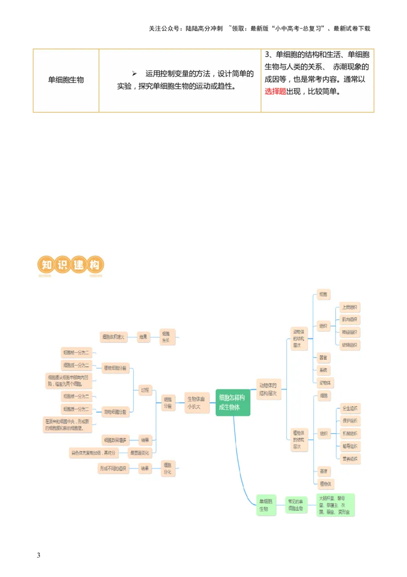 专题03细胞怎样构成生物体（讲义）（原卷版）_02中考总复习（2026版更新中）_08-生物-中考总复习_2024年中考复习资料_一轮复习_❤2024年中考生物一轮复习讲练测（全国通用）_讲义