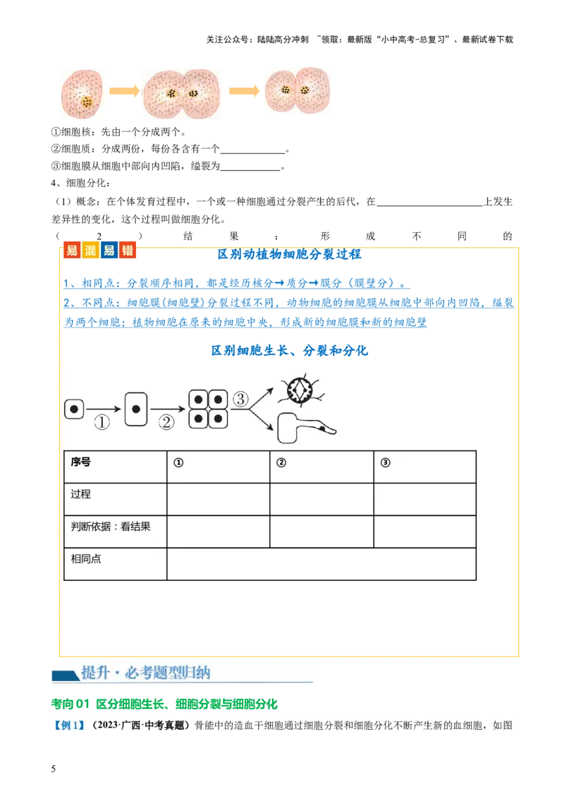 专题03细胞怎样构成生物体（讲义）（原卷版）_02中考总复习（2026版更新中）_08-生物-中考总复习_2024年中考复习资料_一轮复习_❤2024年中考生物一轮复习讲练测（全国通用）_讲义