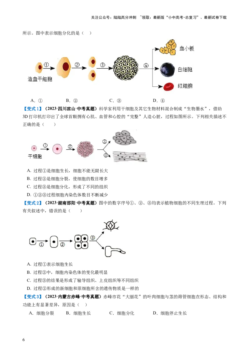 专题03细胞怎样构成生物体（讲义）（原卷版）_02中考总复习（2026版更新中）_08-生物-中考总复习_2024年中考复习资料_一轮复习_❤2024年中考生物一轮复习讲练测（全国通用）_讲义