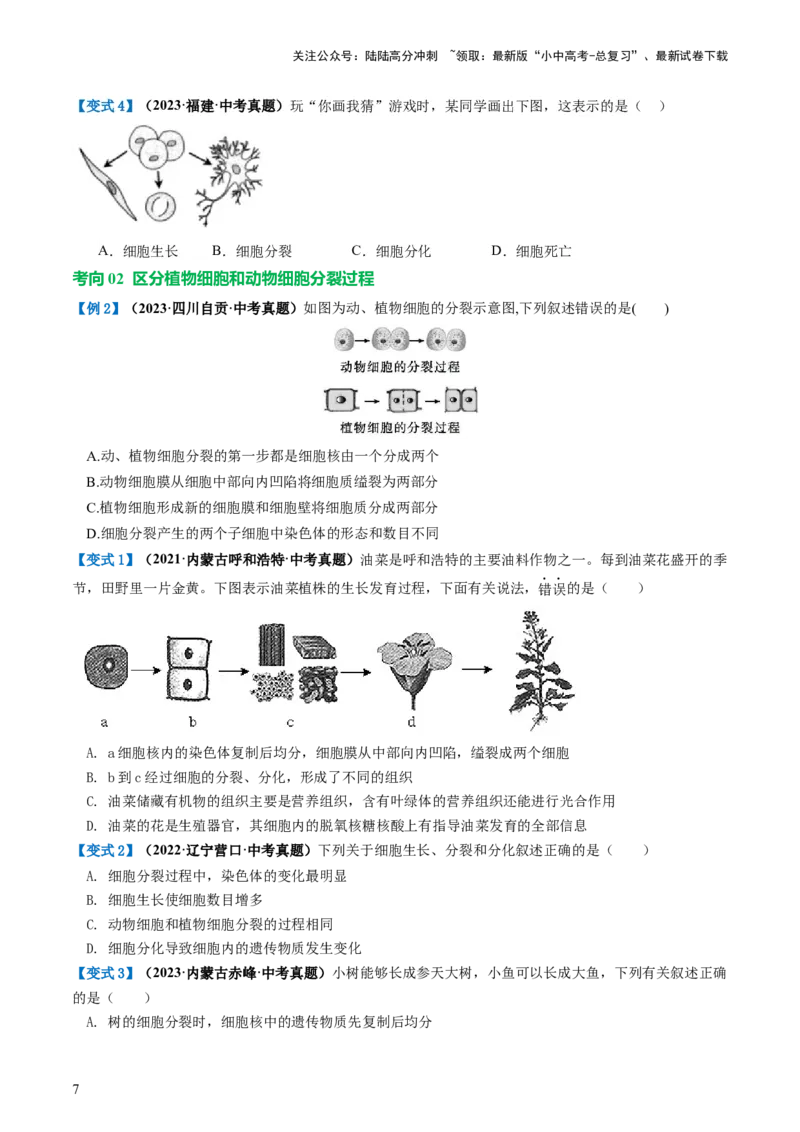 专题03细胞怎样构成生物体（讲义）（原卷版）_02中考总复习（2026版更新中）_08-生物-中考总复习_2024年中考复习资料_一轮复习_❤2024年中考生物一轮复习讲练测（全国通用）_讲义