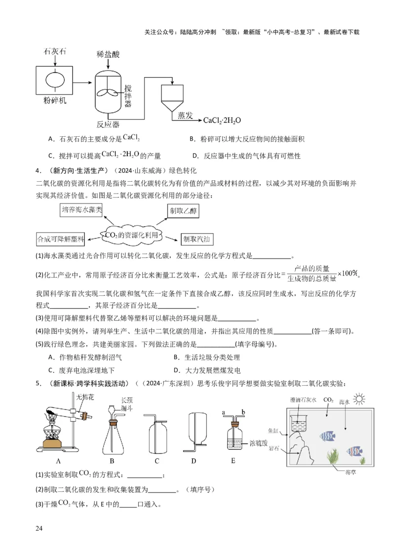 专题03碳和碳的氧化物（原卷版）_02中考总复习（2026版更新中）_05-化学-中考总复习_2025年中考复习资料_备战2025年中考化学真题题源解密