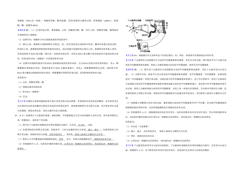 2009年江苏省高考生物试卷解析版_全国卷+地方卷_6.生物_1.生物高考真题试卷_2008-2020年_地方卷_江苏高考生物07-20_A3word版_PDF版（赠送）