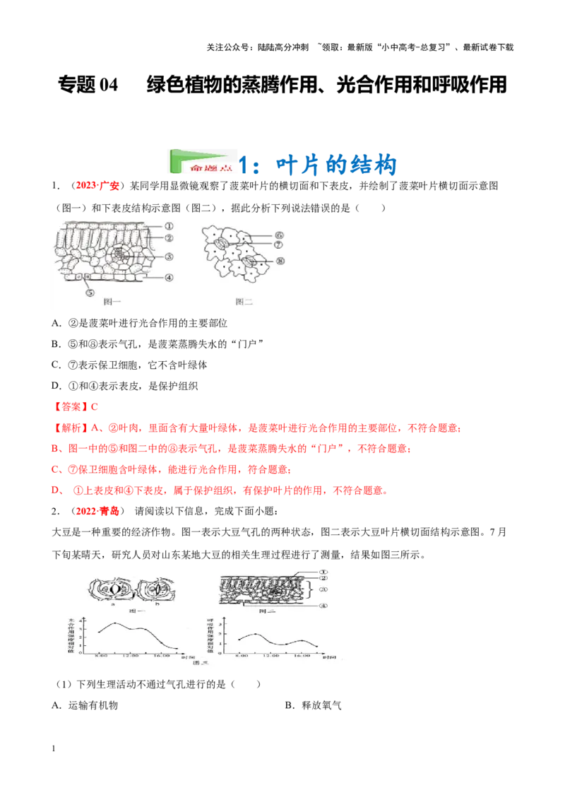 专题04&nbsp;绿色植物的蒸腾作用、光合作用和呼吸作用（解析版）_02中考总复习（2026版更新中）_08-生物-中考总复习_2024年中考复习资料_专项复习_答案解析版