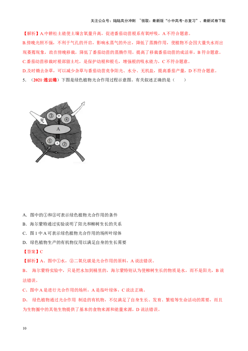 专题04&nbsp;绿色植物的蒸腾作用、光合作用和呼吸作用（解析版）_02中考总复习（2026版更新中）_08-生物-中考总复习_2024年中考复习资料_专项复习_答案解析版