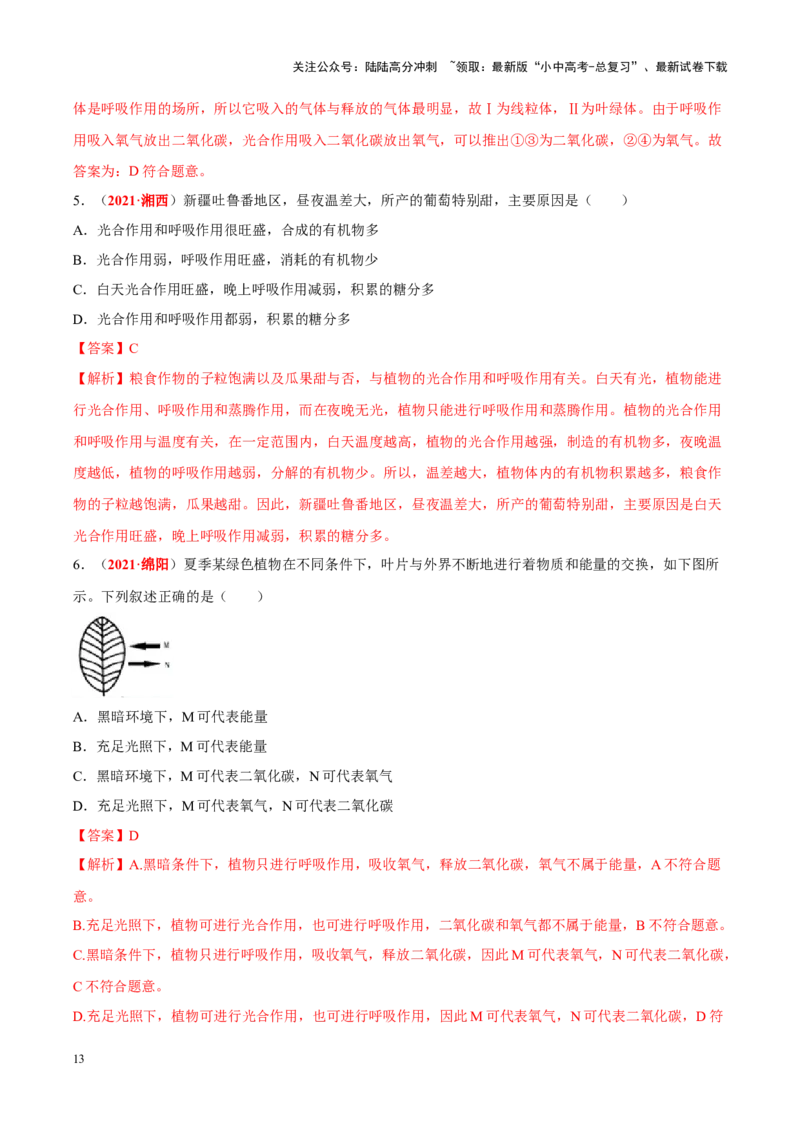 专题04&nbsp;绿色植物的蒸腾作用、光合作用和呼吸作用（解析版）_02中考总复习（2026版更新中）_08-生物-中考总复习_2024年中考复习资料_专项复习_答案解析版