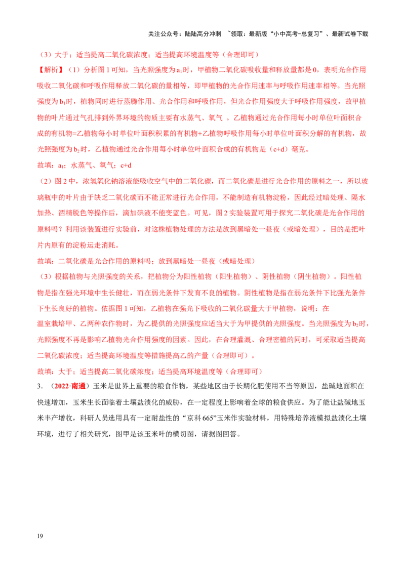 专题04&nbsp;绿色植物的蒸腾作用、光合作用和呼吸作用（解析版）_02中考总复习（2026版更新中）_08-生物-中考总复习_2024年中考复习资料_专项复习_答案解析版