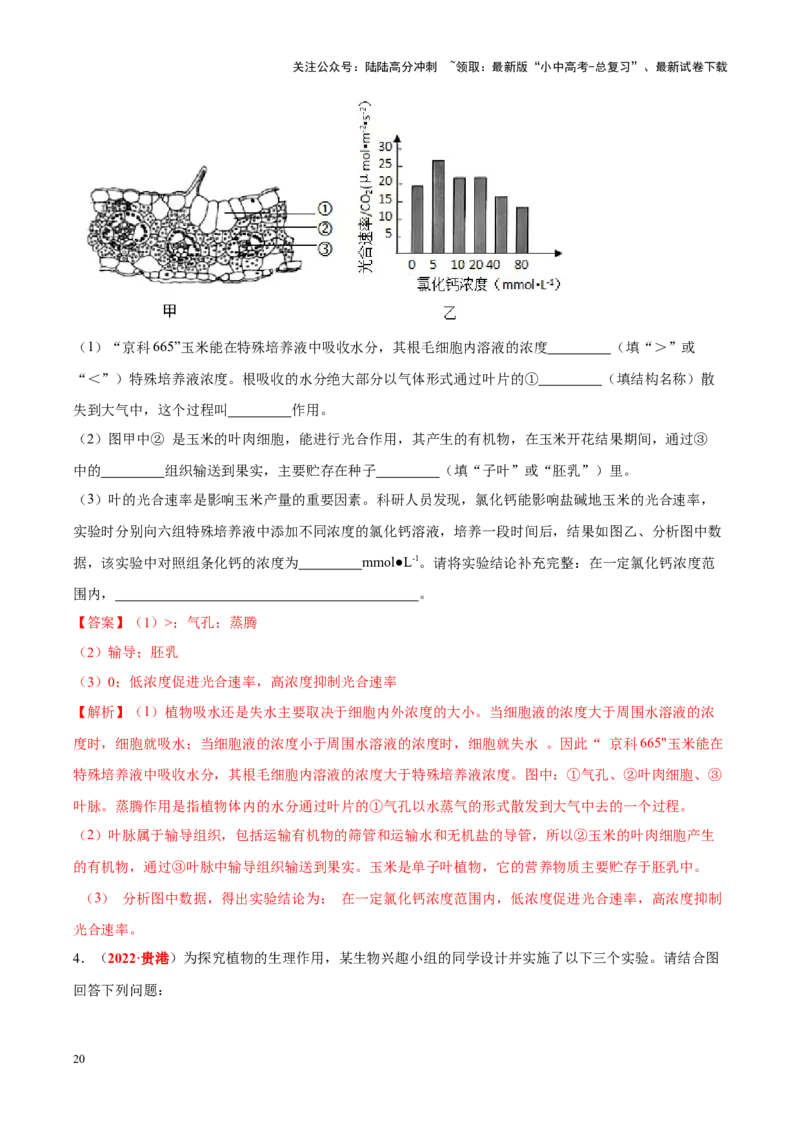 专题04&nbsp;绿色植物的蒸腾作用、光合作用和呼吸作用（解析版）_02中考总复习（2026版更新中）_08-生物-中考总复习_2024年中考复习资料_专项复习_答案解析版