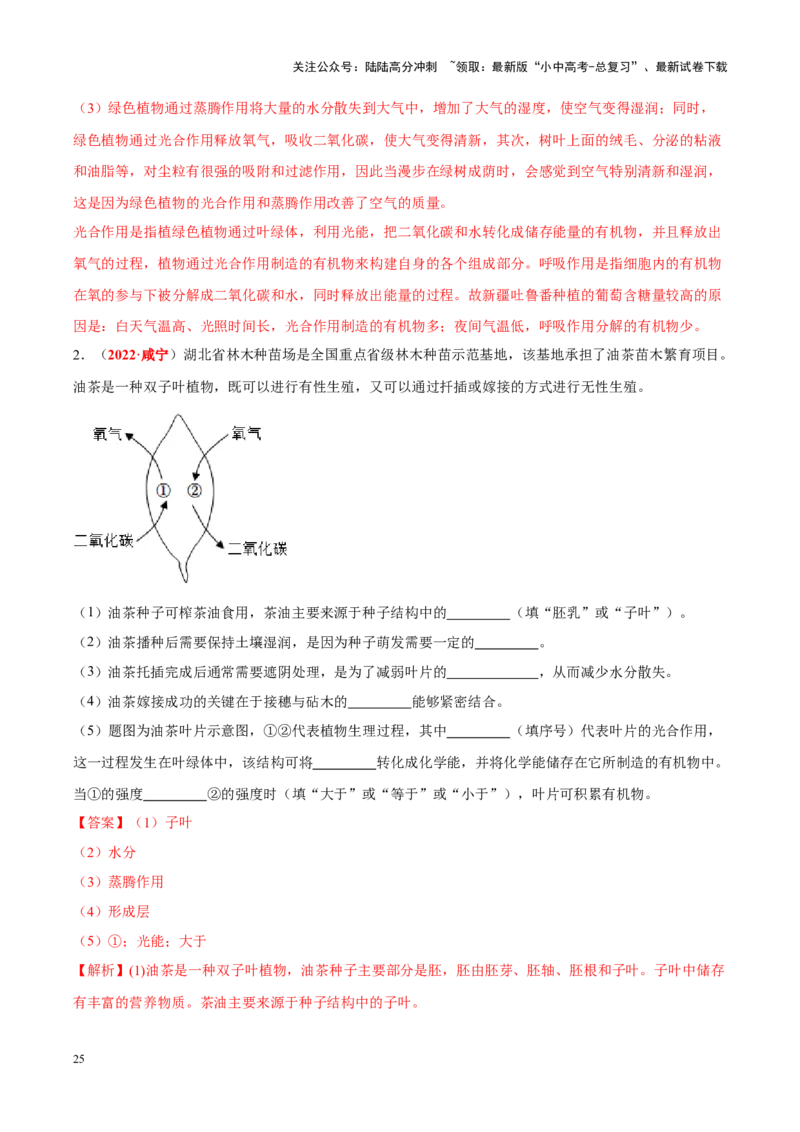 专题04&nbsp;绿色植物的蒸腾作用、光合作用和呼吸作用（解析版）_02中考总复习（2026版更新中）_08-生物-中考总复习_2024年中考复习资料_专项复习_答案解析版