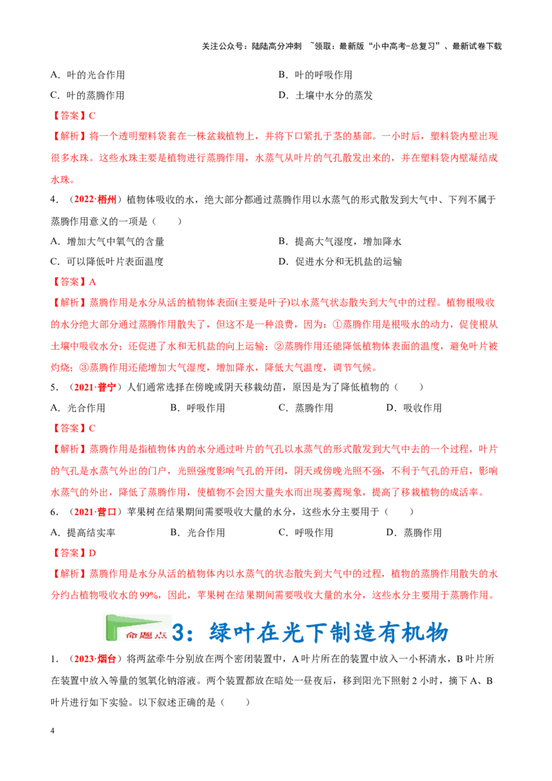 专题04&nbsp;绿色植物的蒸腾作用、光合作用和呼吸作用（解析版）_02中考总复习（2026版更新中）_08-生物-中考总复习_2024年中考复习资料_专项复习_答案解析版