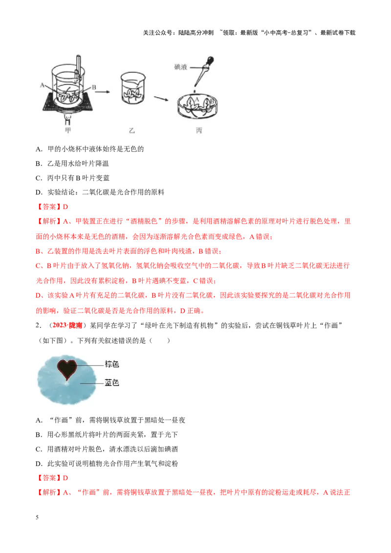 专题04&nbsp;绿色植物的蒸腾作用、光合作用和呼吸作用（解析版）_02中考总复习（2026版更新中）_08-生物-中考总复习_2024年中考复习资料_专项复习_答案解析版