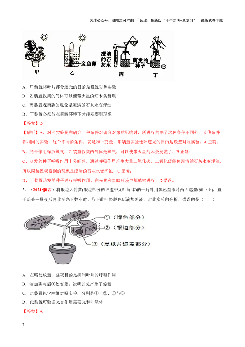 专题04&nbsp;绿色植物的蒸腾作用、光合作用和呼吸作用（解析版）_02中考总复习（2026版更新中）_08-生物-中考总复习_2024年中考复习资料_专项复习_答案解析版
