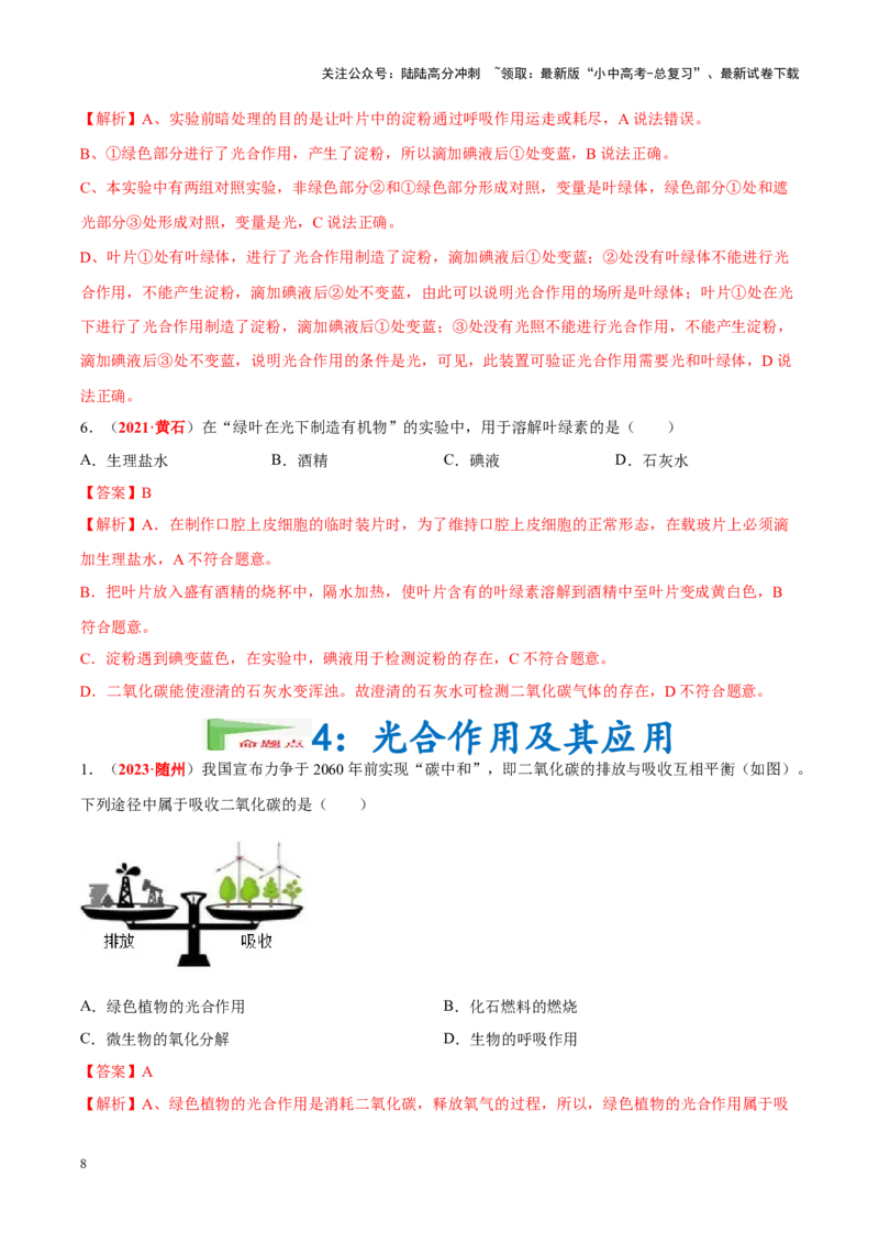 专题04&nbsp;绿色植物的蒸腾作用、光合作用和呼吸作用（解析版）_02中考总复习（2026版更新中）_08-生物-中考总复习_2024年中考复习资料_专项复习_答案解析版