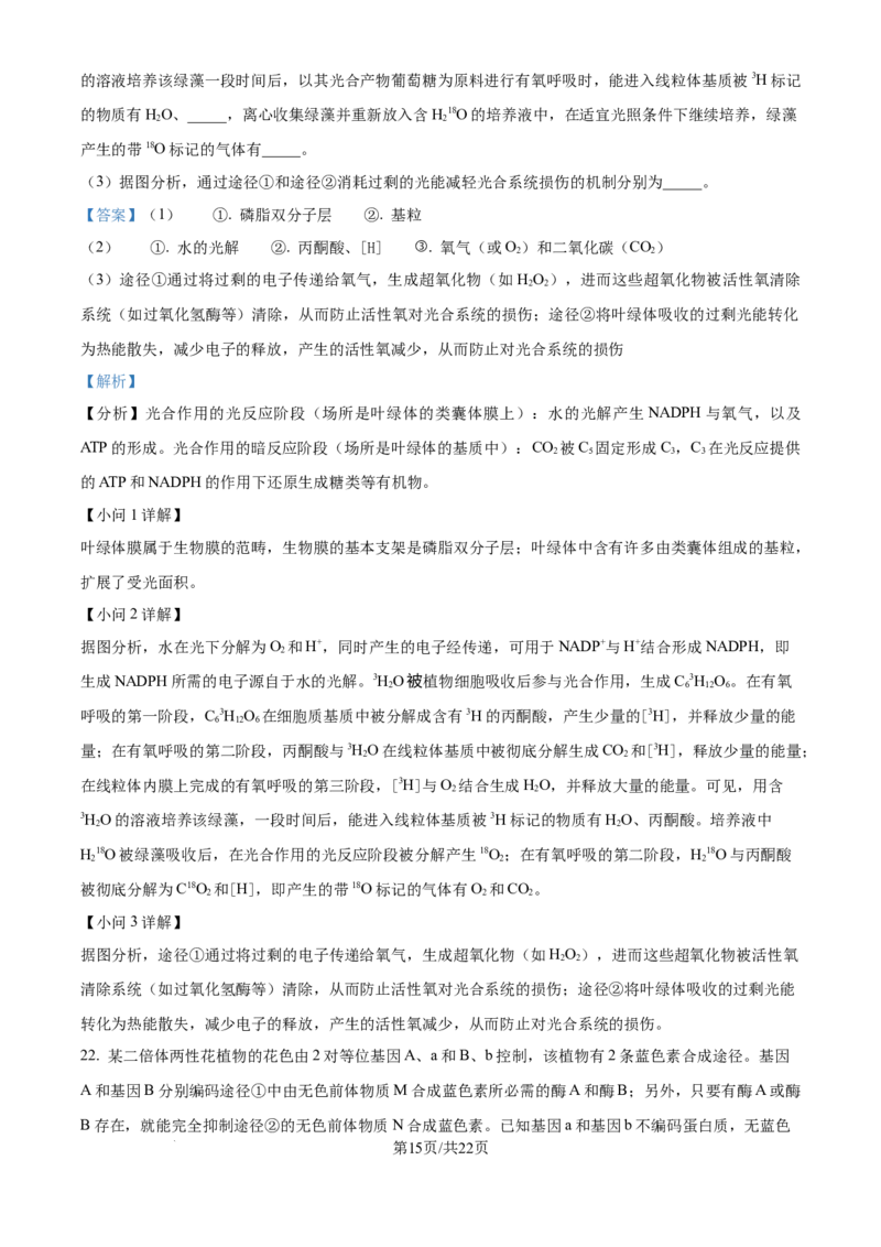 2025年高考山东卷生物真题试卷（解析版）_2025全国各省高考真题+答案_24、山东卷（物理、政治、化学、历史、生物、地理）_参考版本2