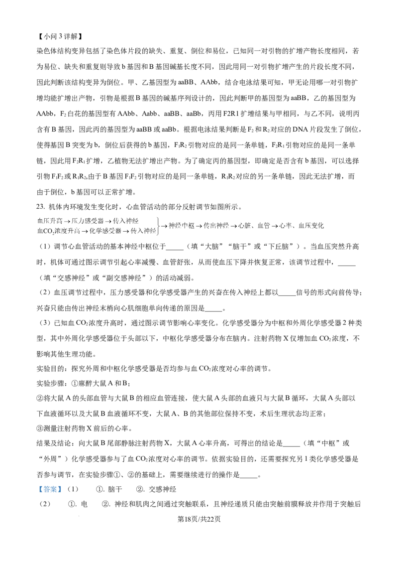 2025年高考山东卷生物真题试卷（解析版）_2025全国各省高考真题+答案_24、山东卷（物理、政治、化学、历史、生物、地理）_参考版本2