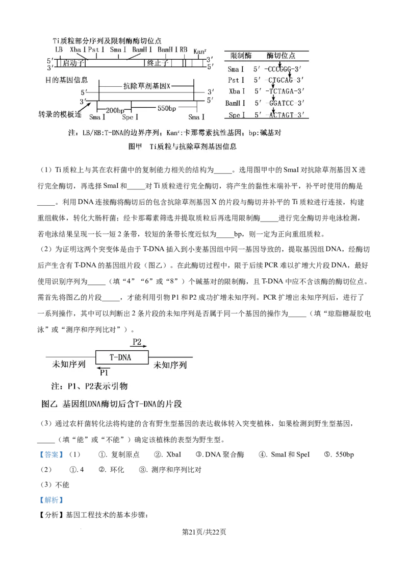 2025年高考山东卷生物真题试卷（解析版）_2025全国各省高考真题+答案_24、山东卷（物理、政治、化学、历史、生物、地理）_参考版本2