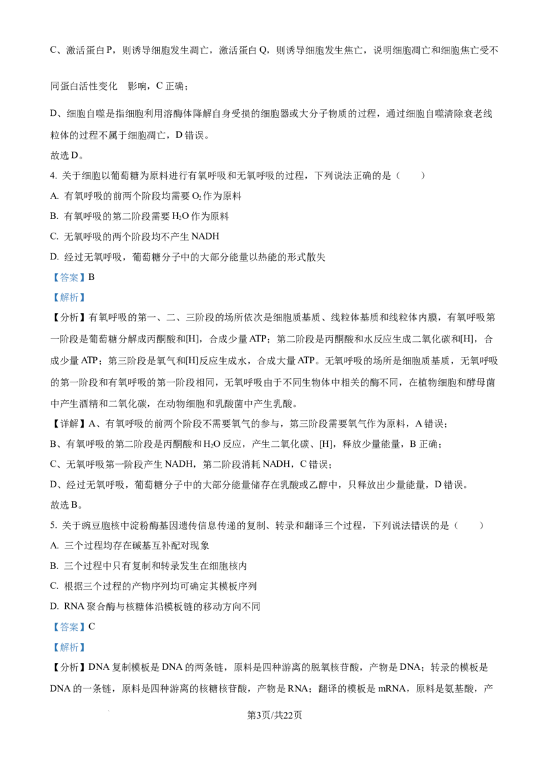 2025年高考山东卷生物真题试卷（解析版）_2025全国各省高考真题+答案_24、山东卷（物理、政治、化学、历史、生物、地理）_参考版本2