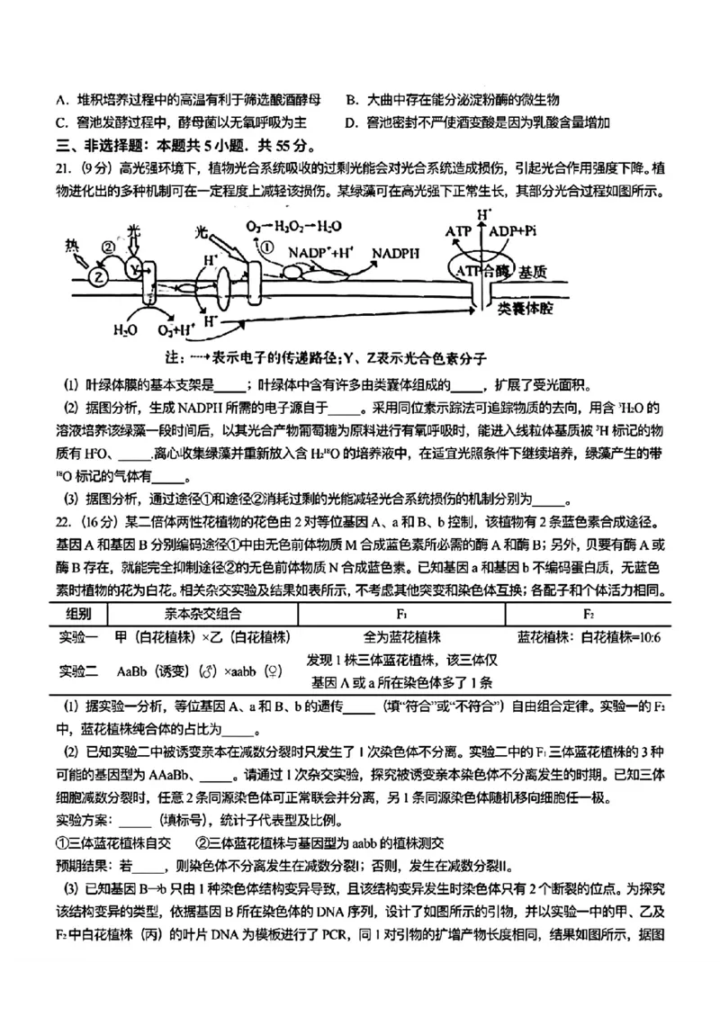 2025年高考山东生物_2025全国各省高考真题+答案_30、山东卷（物理、政治、化学、历史、生物、地理）
