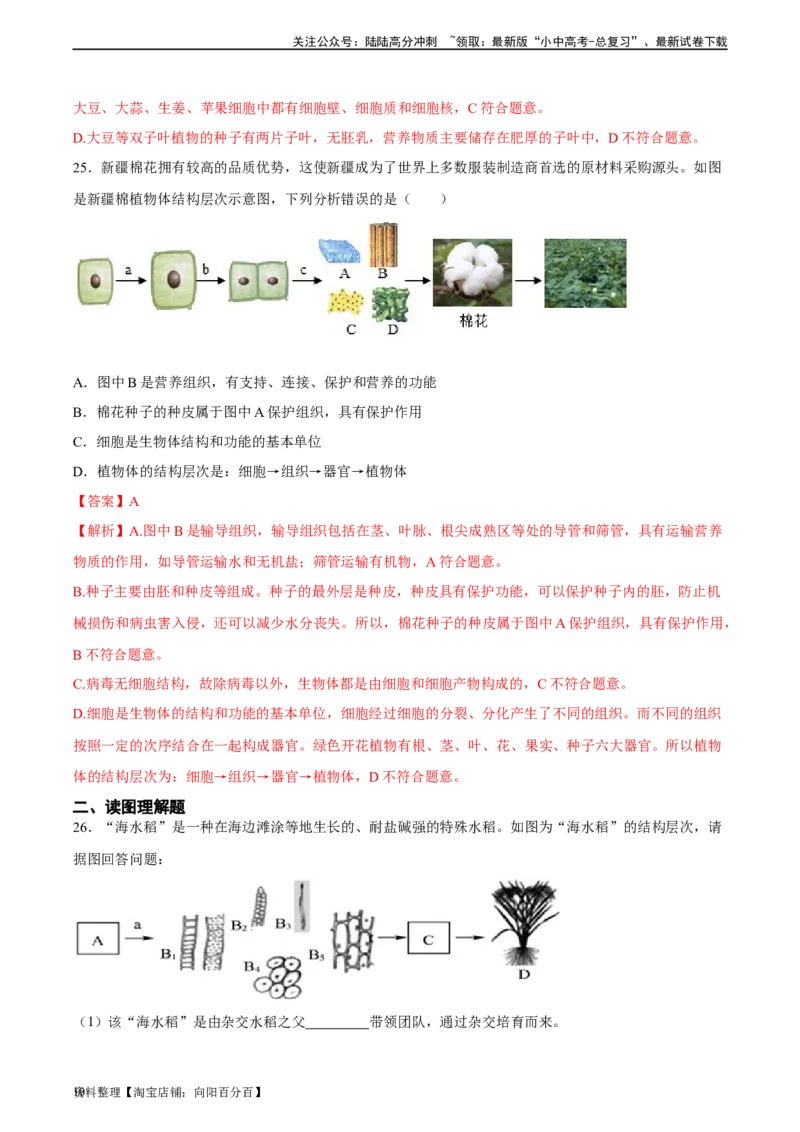 专题03细胞怎样构成生物体（解析版）_02中考总复习（2026版更新中）_08-生物-中考总复习_2024年中考复习资料_一轮复习_省心备考2024年中考生物一轮复习精讲精练（全国通用）