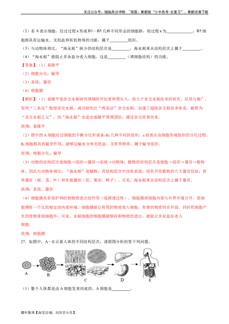 专题03细胞怎样构成生物体（解析版）_02中考总复习（2026版更新中）_08-生物-中考总复习_2024年中考复习资料_一轮复习_省心备考2024年中考生物一轮复习精讲精练（全国通用）
