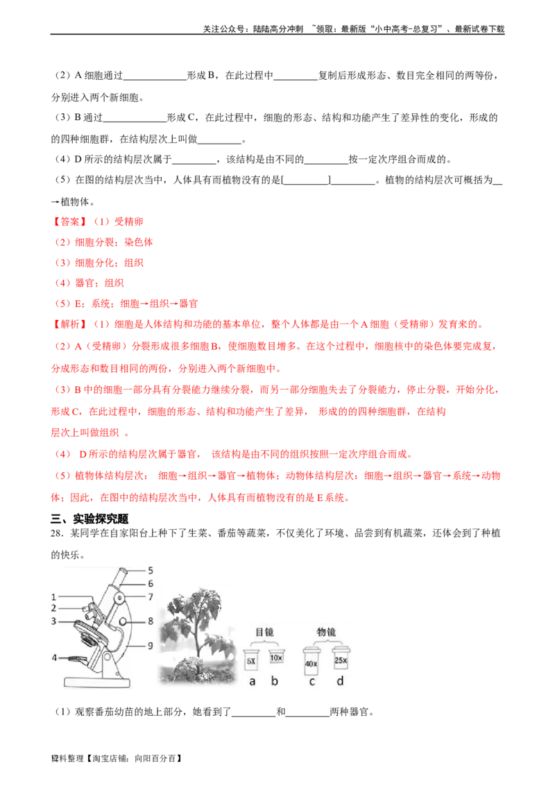 专题03细胞怎样构成生物体（解析版）_02中考总复习（2026版更新中）_08-生物-中考总复习_2024年中考复习资料_一轮复习_省心备考2024年中考生物一轮复习精讲精练（全国通用）
