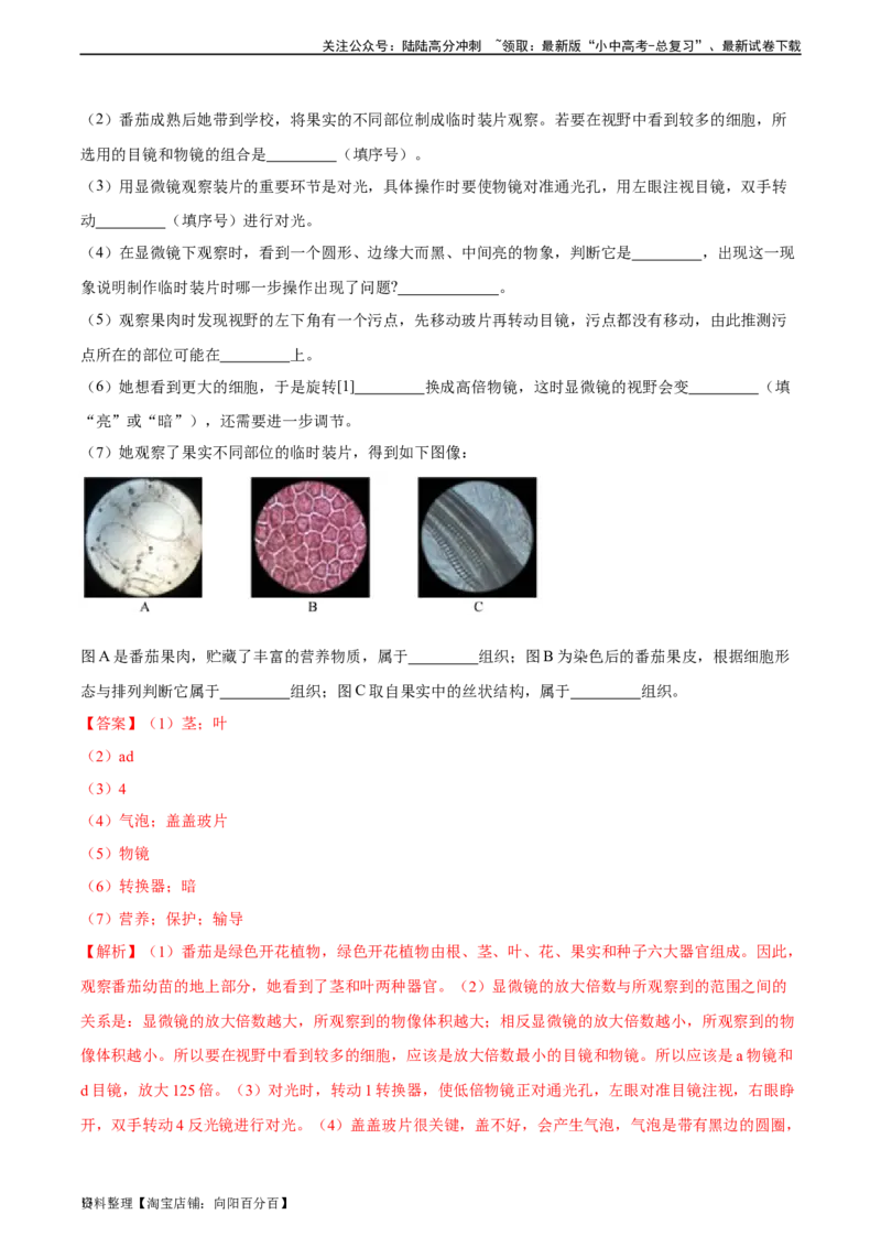 专题03细胞怎样构成生物体（解析版）_02中考总复习（2026版更新中）_08-生物-中考总复习_2024年中考复习资料_一轮复习_省心备考2024年中考生物一轮复习精讲精练（全国通用）