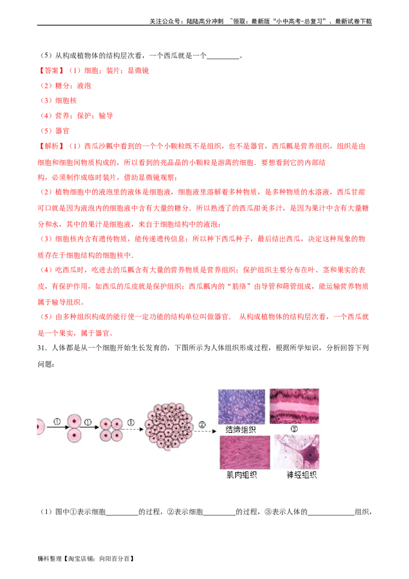 专题03细胞怎样构成生物体（解析版）_02中考总复习（2026版更新中）_08-生物-中考总复习_2024年中考复习资料_一轮复习_省心备考2024年中考生物一轮复习精讲精练（全国通用）